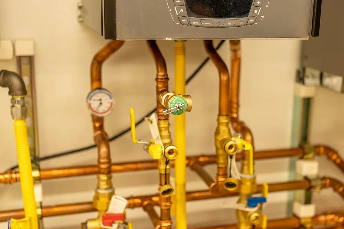 Licensed technician providing Emergency Plumbing for a homeowner in Lake Shore